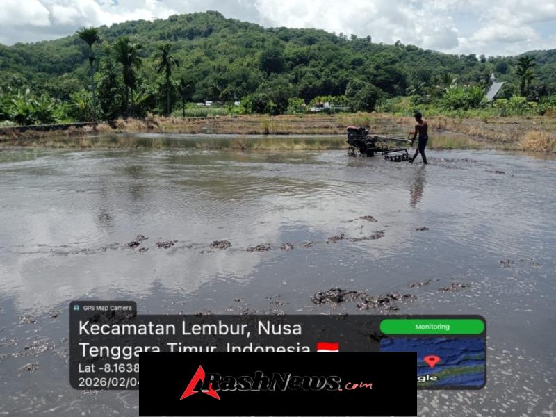 Pendampingan Babinsa Tingkatkan Produktivitas Pertanian di Desa Tulleng