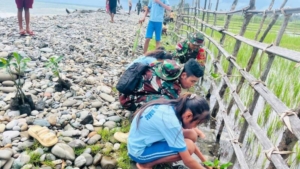 Peduli Lingkungan, Satgas Pamtas Yonarhanud 2 Kostrad Tanam 2000 Mangrove