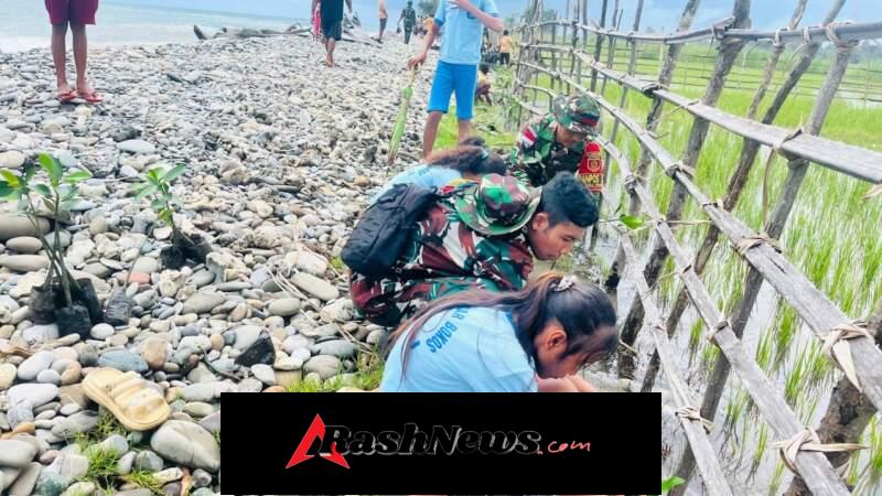 Peduli Lingkungan, Satgas Pamtas Yonarhanud 2 Kostrad Tanam 2000 Mangrove