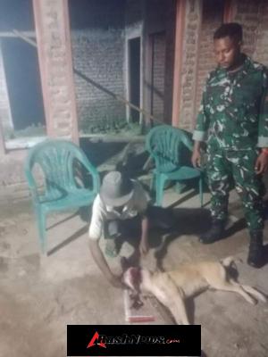 Babinsa Ajak Warga Waspada Hewan Berbahaya di Lingkungan