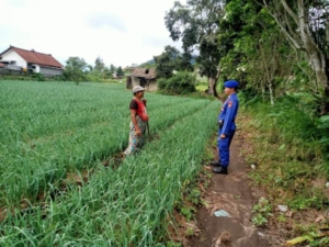 Satpolairud Polres Tabanan Sambangi Petani di Danau Beratan, Perkuat Kamtibmas dan Dukung Ketahanan Pangan