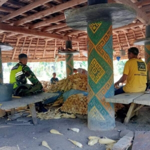 Sentuhan Babinsa, Pertanian Desa Bangkit dan Hasil Panen Meningkat Tajam