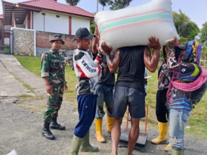 Peran Aktif Babinsa Jereweh Dukung Ketahanan Pangan Melalui Pengawalan Gabah