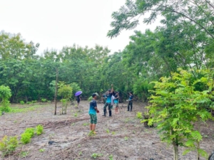 Hijaukan Bumi, Satgas Pamtas Yonarhanud 2 Kostrad Tanam Pohon Cemara