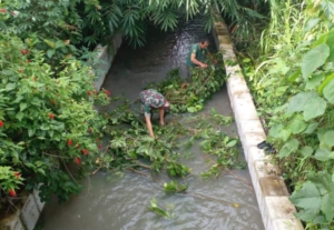 Kepedulian Tanpa Batas, Babinsa Batuaji Bantu Pemulihan Rumah Warga Pasca Angin Kencang