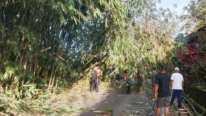 Babinsa 1623-06/Selat Bersinergi dengan Masyarakat Tangani Bambu Tumbang Akibat Cuaca Ekstrem
