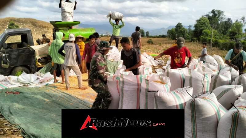 Peran Nyata Babinsa di Dompu, Dari Komsos hingga Edukasi Keselamatan Warga