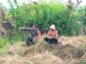 Pendekatan Dialogis, Upaya Babinsa Semarapura Kauh Ciptakan Kedekatan TNI Rakyat