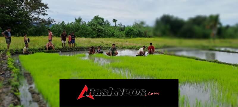 Kebersamaan Babinsa dan Warga Desa Kakaha dalam Kegiatan Hanpangan