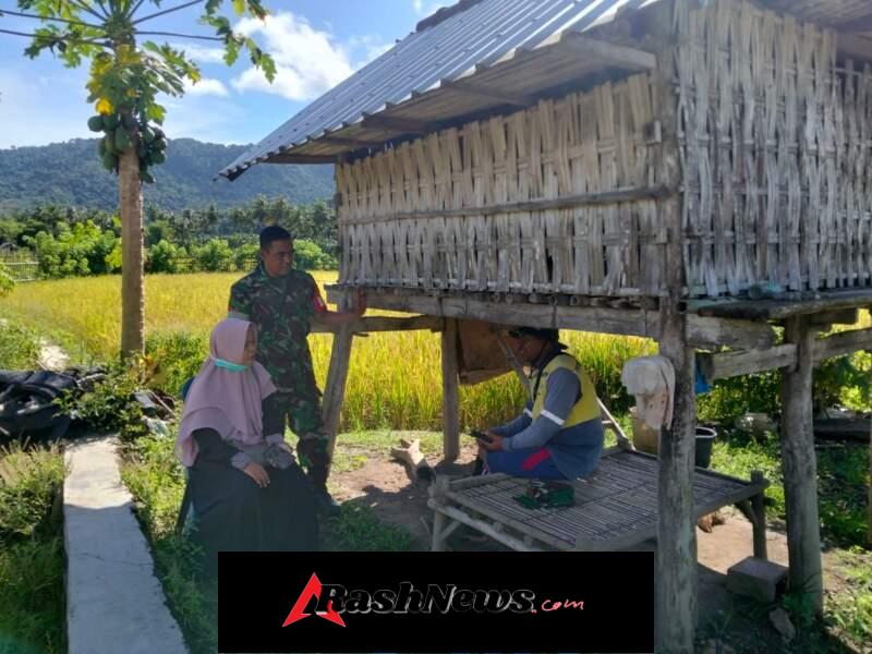 Pastikan Hasil Panen Terserap, Babinsa Seran Koordinasi dengan Bulog