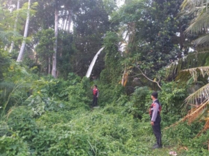 Polsek Gianyar Laksanakan Patroli Daerah Rawan Longsor dan Pohon Tumbang