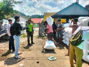 Bulog Beli 18.896 Kg Gabah dari Petani Desa Sanolo dengan Harga Rp 6.500/Kg