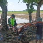 Serma Daniel Umbu Ndawa Bantu Petani Olah Lahan dengan Menggunakan Traktor