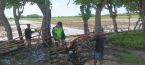 Serma Daniel Umbu Ndawa Bantu Petani Olah Lahan dengan Menggunakan Traktor