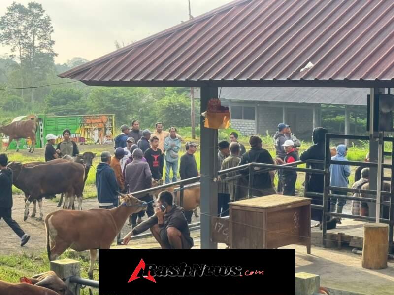 PANTAU STABILITAS PASAR, UNIT INTELKAM POLSEK SUSUT MONITORING PASAR HEWAN KAYUAMBUA