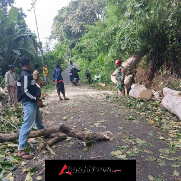 Gotong Royong Babinsa dan Masyarakat Bersihkan Jalan Tertutup Pohon Kemiri Tumbang