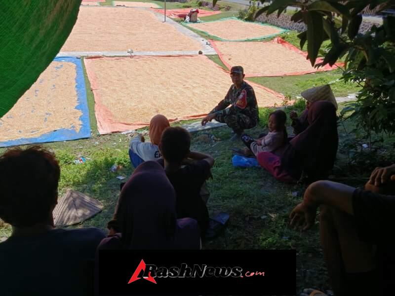 Babinsa Jadi Motor Penggerak, Dampingi Warga Olah Hasil Panen Jagung