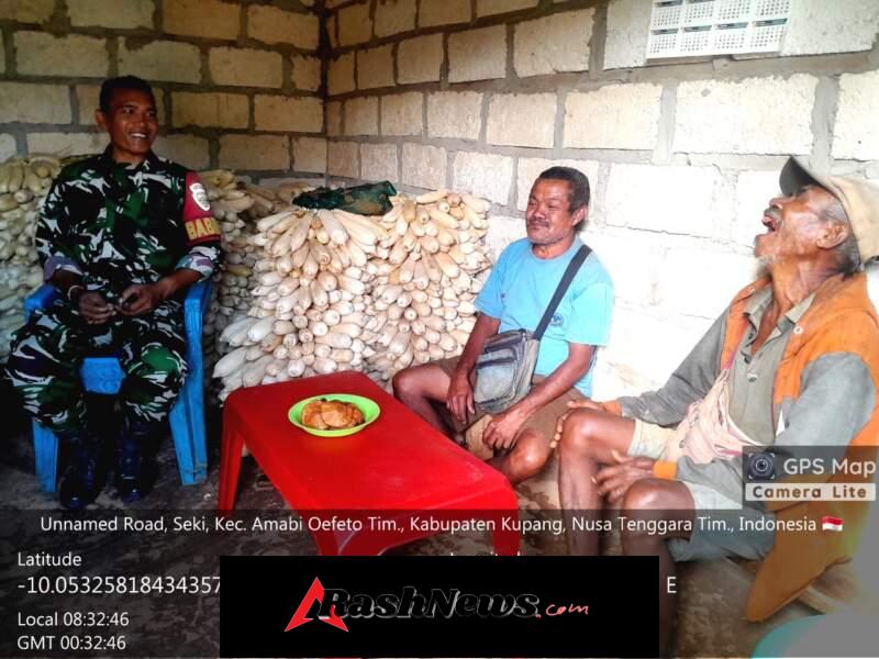 Curah Hujan Minim Picu Gagal Tumbuh Tanaman Jagung