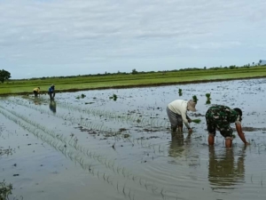 Sertu Hendrik Hati Waluandja Dampingi Petani Desa Wulla