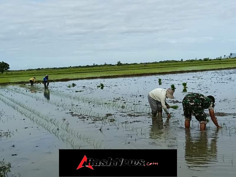Sertu Hendrik Hati Waluandja Dampingi Petani Desa Wulla