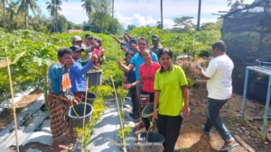 Di Bawah Pendampingan TNI, Panen Lombok Waiara Perkuat Kemandirian Pangan Masyarakat