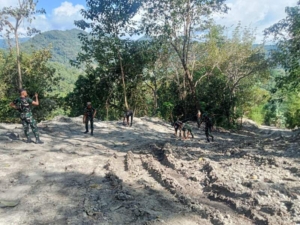Kebersamaan TNI dan Warga Warnai Pengerjaan Jalan TMMD Ke-128 di Ende