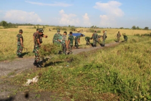 TNI Hadir di Sawah, Kasdim Tabanan Pimpin Aksi Pembersihan Jelang Panen Raya Subak Lanyah