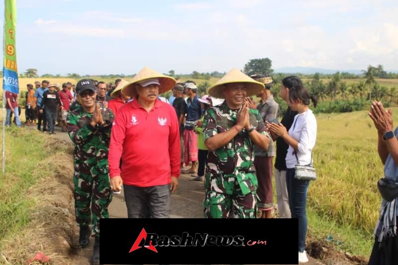Panen Raya Subak Lanyah Delod Jalan, Kodim Tabanan Perkuat Ketahanan Pangan Nasional