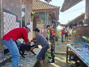 Babinsa Garda Terdepan: 146 Anjing Divaksin di Karyasari, Warga Makin Terlindungi