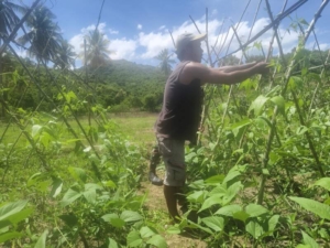 Kehadiran Babinsa di Kebun Disambut Positif, Petani Makin Termotivasi