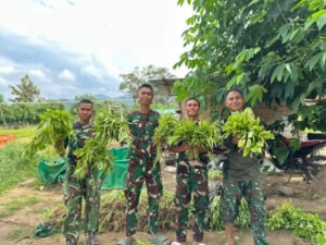 Kangkung, bayam, dan sawi jadi bukti kerja keras prajurit Yonif TP 835/SYB
