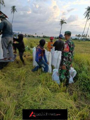 Koramil 1614-04/Kilo Intensifkan  Pendampingan Petani di Paropa Barat