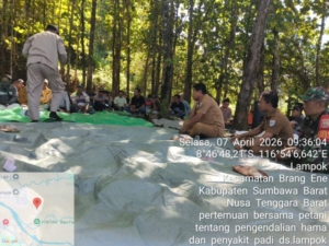 Tingkatkan Hasil Panen, Babinsa Hadiri Penyuluhan Pertanian di Desa Lampok