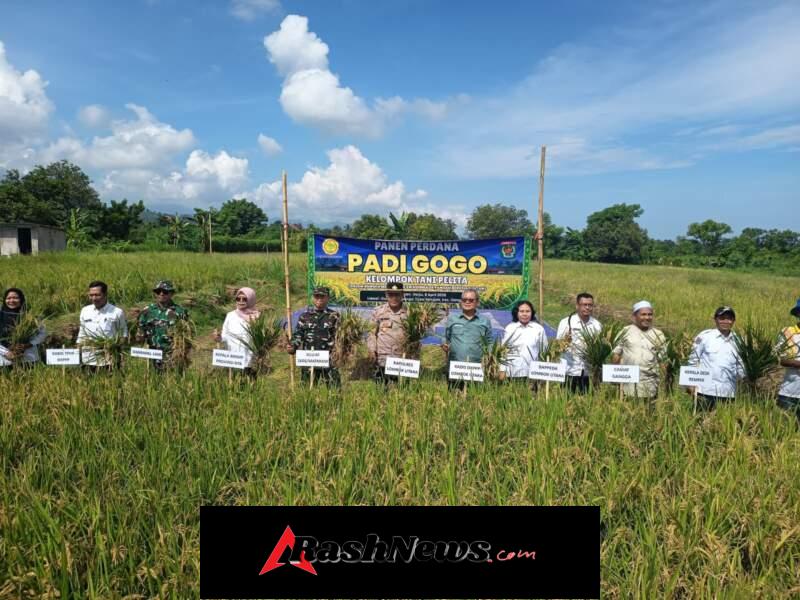 Semangat Petani Lempenge Wujudkan Swasembada Pangan Berkelanjutan