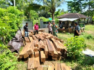 Peran Babinsa Sertu Sukardin Pastikan Pengecekan Krosing Kayu Aman dan Lancar