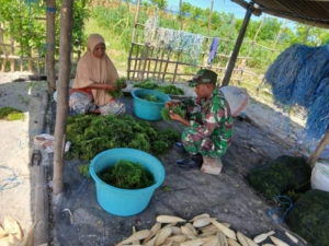 Kehadiran Babinsa Perkuat Ketahanan Ekonomi Warga Pesisir