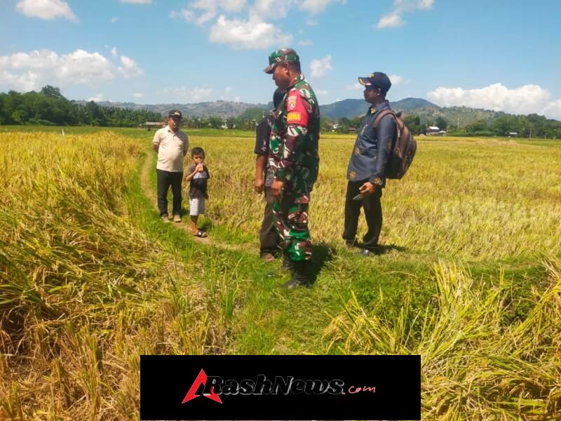 Lahan 10 Are Dinilai Tidak Mencukupi untuk Fasilitas dan Akses