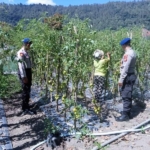 Satpolairud Polres Bangli dekat dengan masyarakat sambang petani di Pesisir Danau Batur dukung ketahanan Pangan