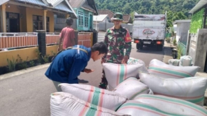 Dukung Ketahanan Pangan, Babinsa Taliwang Kawal Penyerapan Gabah di Lamuntet