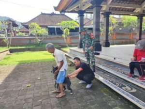 Cegah Rabies, Babinsa Dawan Kaler Tegaskan  57 Ekor Anjing Dan Kucing Tuntas Divaksinasi