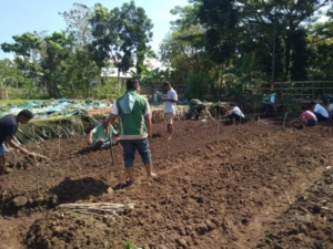 Babinsa Kodim 1613/Sumba Barat Aktif Dampingi Penanaman Sayur di Desa Waimangoma