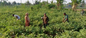 Dekat dengan Warga, TMMD 128 Manfaatkan Waktu Sosialisasi Bahaya Narkoba kepada Petani