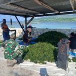 Tingkatkan Ekonomi Warga, Babinsa Aktif Dampingi Petani Rumput Laut di Alor