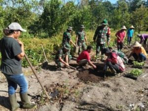 Hari keenam Satgas TMMD ke- 128 Kodim 1623/Karangasem menanam 1000 pohon.