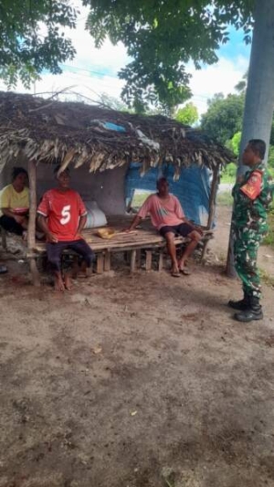 Babinsa Koramil 02/Rindi Umalulu Turun Langsung ke Sawah, Dengar Keluhan Petani