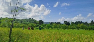 Dekatkan Diri dengan Warga, Babinsa Karera Gelar Komsos di Wilayah Binaan
