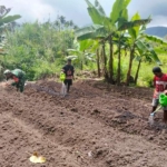 Babinsa Berikan Motivasi dan Strategi Tanam Sayur kepada Warga Desa Malaipea