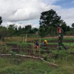 Komsos di Desa Suanae, Babinsa Dorong Pemanfaatan Lahan Kosong Penuhi Kebutuhan Pangan dan Tambah Penghasilan