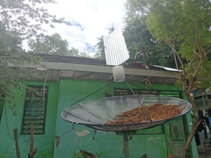 Pembangunan Kantor Koramil 1627-03/Batutua Capai Tahap Pemasangan Seng