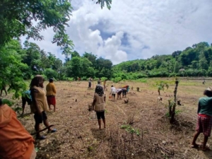 Pratu Denis Nderu Peta Wujudkan Ketahanan Pangan Bersama Petani Praingkareha